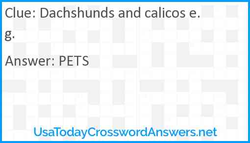 Dachshunds and calicos e.g. Answer