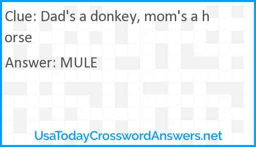 Dad's a donkey, mom's a horse Answer