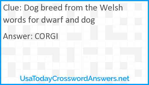 Dog breed from the Welsh words for dwarf and dog Answer