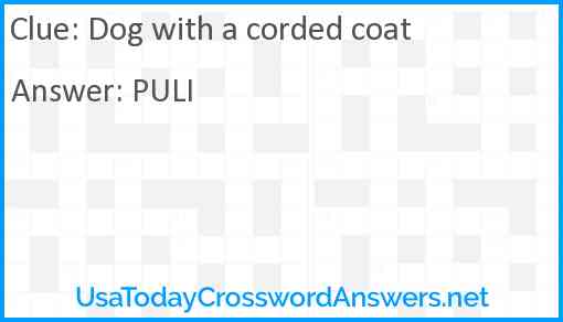 Dog with a corded coat Answer
