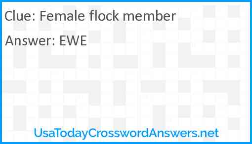 Female flock member Answer