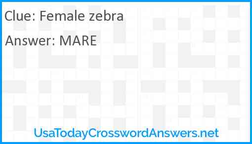 Female zebra Answer