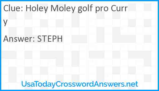 Holey Moley golf pro Curry Answer