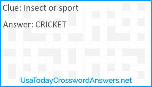 Insect or sport Answer