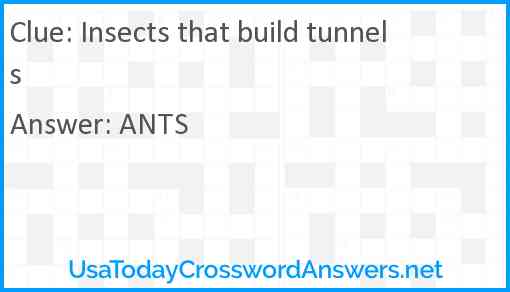 Insects that build tunnels Answer