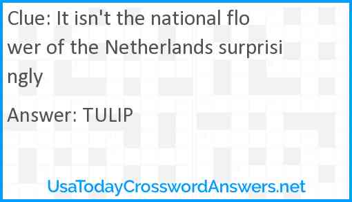 It isn't the national flower of the Netherlands surprisingly Answer