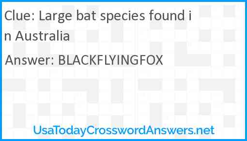 Large bat species found in Australia Answer