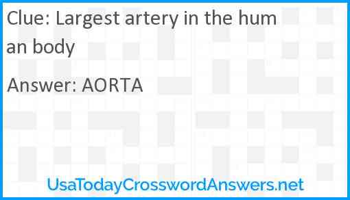 Largest artery in the human body Answer