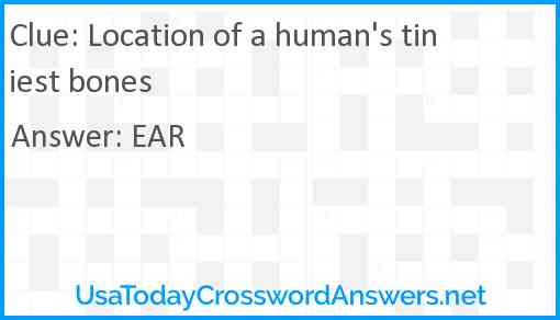 Location of a human's tiniest bones Answer