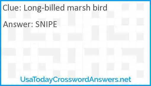 Long-billed marsh bird Answer