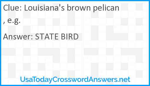 Louisiana's brown pelican, e.g. Answer