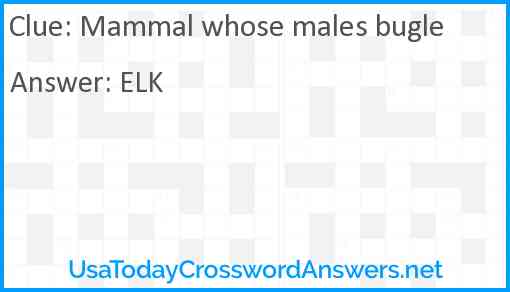 Mammal whose males bugle Answer