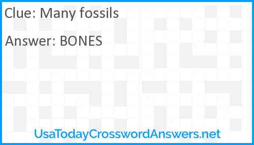Many fossils Answer