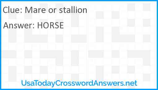 Mare or stallion Answer
