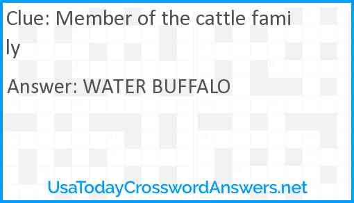 Member of the cattle family Answer