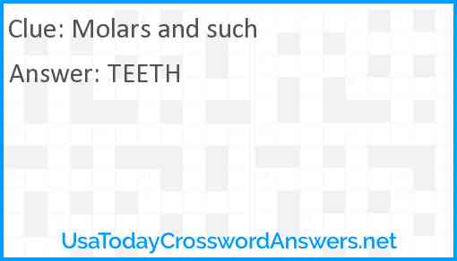 Molars and such Answer