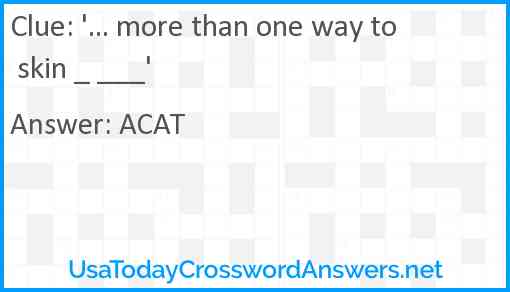 '... more than one way to skin _ ___' Answer