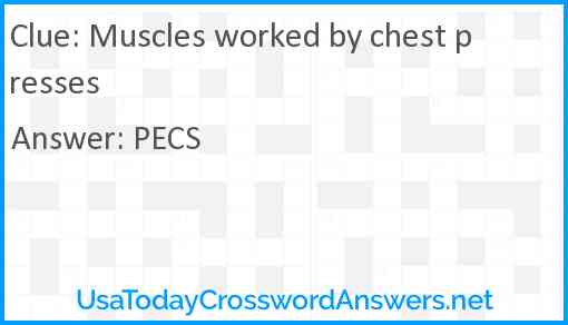 Muscles worked by chest presses Answer