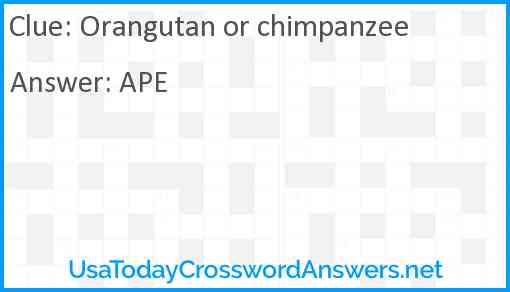 Orangutan or chimpanzee Answer