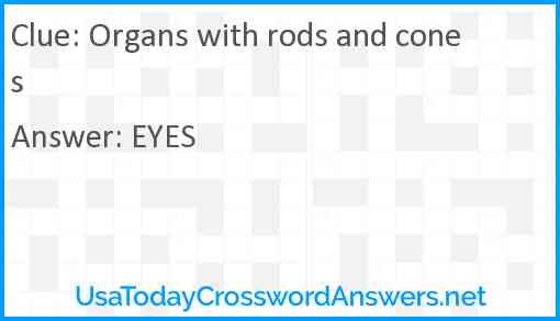 Organs with rods and cones Answer