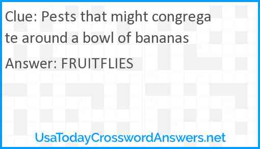 Pests that might congregate around a bowl of bananas Answer