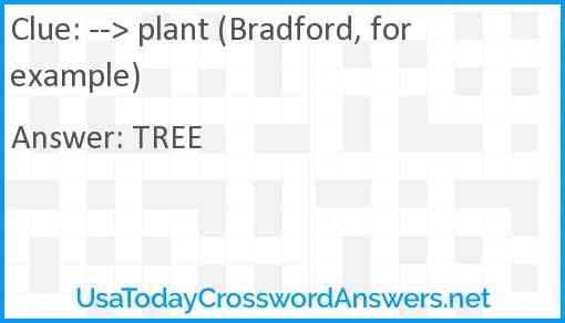 --> plant (Bradford, for example) Answer