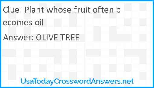 Plant whose fruit often becomes oil Answer