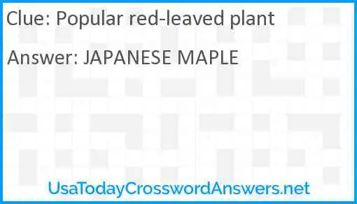 Popular red-leaved plant Answer