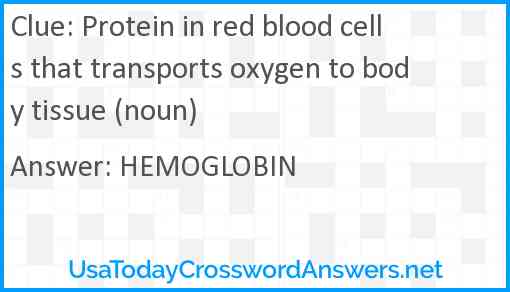 Protein in red blood cells that transports oxygen to body tissue (noun) Answer