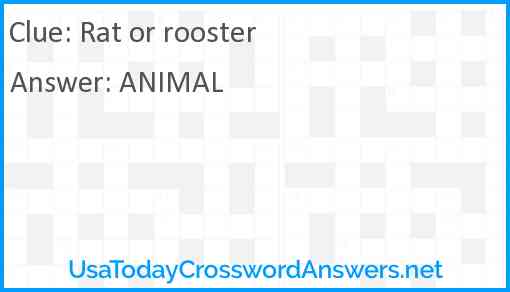 Rat or rooster Answer