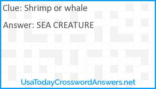 Shrimp or whale Answer