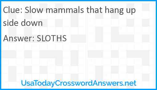 Slow mammals that hang upside down Answer