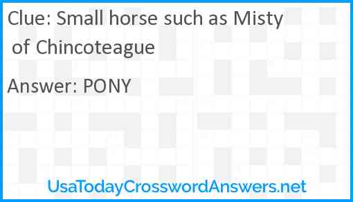 Small horse such as Misty of Chincoteague Answer