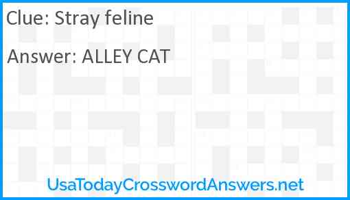 Stray feline Answer