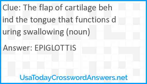 The flap of cartilage behind the tongue that functions during swallowing (noun) Answer