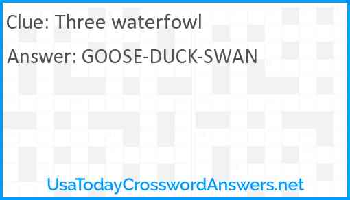 Three waterfowl Answer