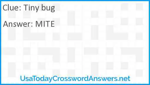 Tiny bug Answer