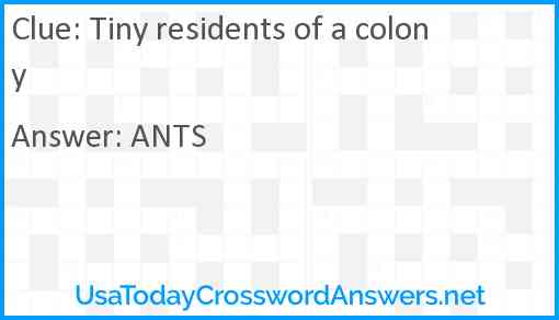 Tiny residents of a colony Answer