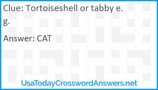 Tortoiseshell or tabby e.g. Answer