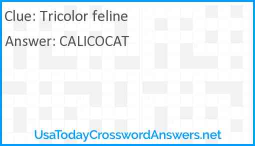 Tricolor feline Answer