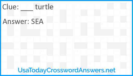 ___ turtle Answer