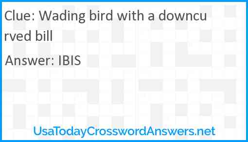 Wading bird with a downcurved bill Answer