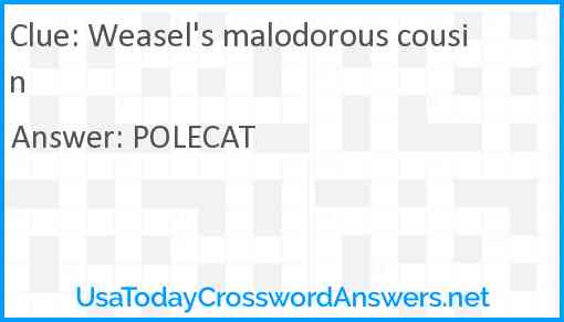 Weasel's malodorous cousin Answer