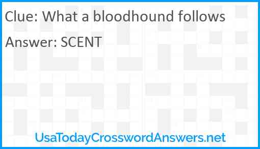 What a bloodhound follows Answer