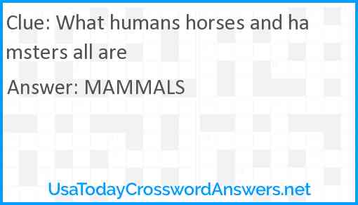 What humans horses and hamsters all are Answer