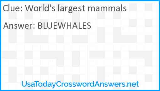 World's largest mammals Answer