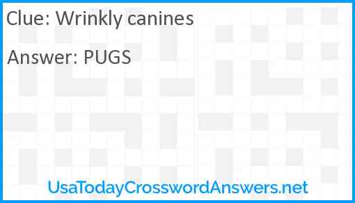 Wrinkly canines Answer